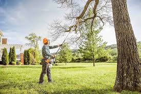 Best Pest Control for Lawns  in Columbia, CA