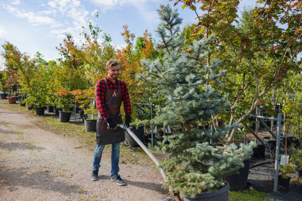 Best Tree Trimming and Pruning  in Columbia, CA