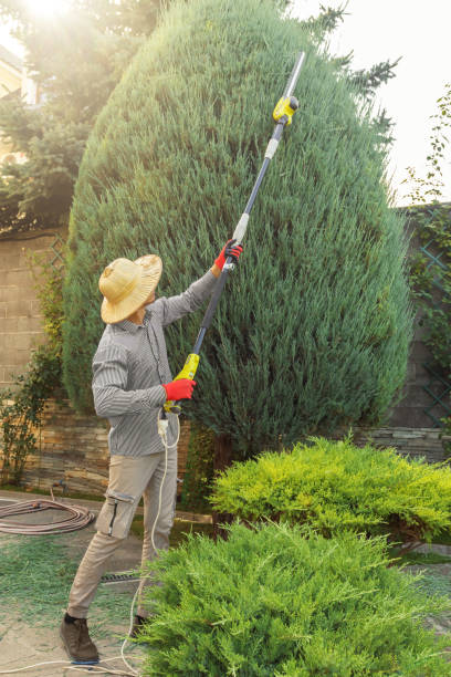 Best Tree Risk Assessment  in Columbia, CA